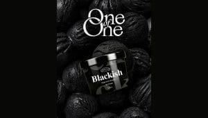 Dairyland unveils new Blackish Peppermint Chocolate Ice Cream flavour