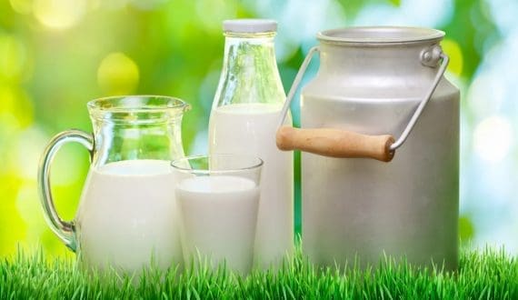 Thumbnail for Mexico forecasts milk production to reach 14.3MT in 2026