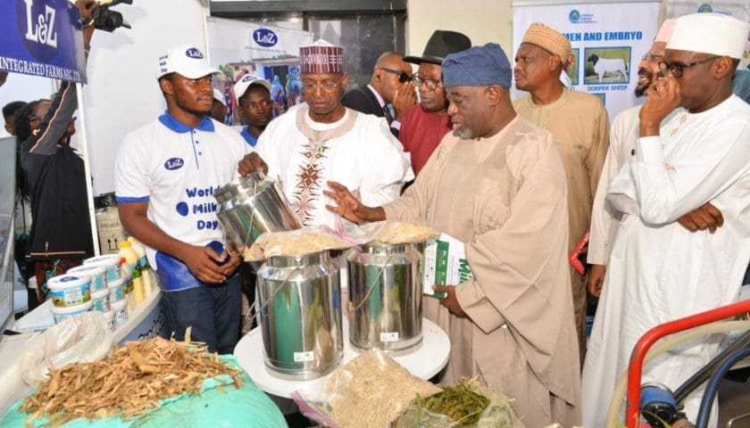 Thumbnail for Commercial Dairy Ranchers Association of Nigeria champions women empowerment