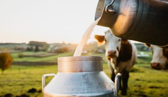 Thumbnail for Maharashtra FDA tightens milk safety rules