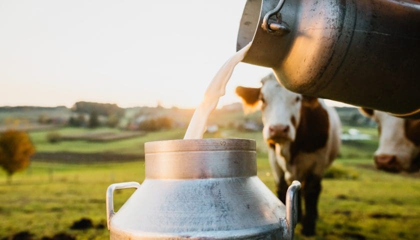 Thumbnail for Maharashtra FDA tightens milk safety rules