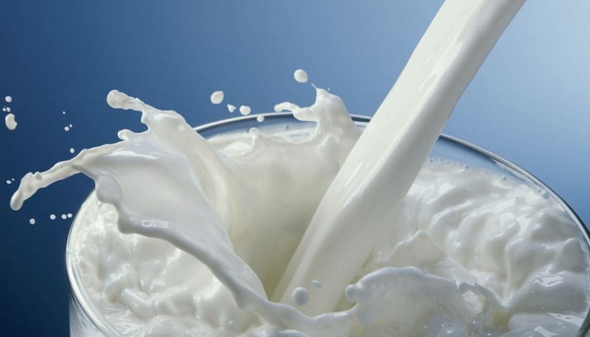 Thumbnail for Top 10 companies shaping dairy sector